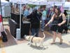 A vendor at the Artisan Market in Winnetka on Saturday May 30, 2026.