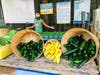 Summer squash and green beans on display at the CBF CSA pickup.