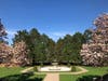 The Clowney Gardens behind the mansion