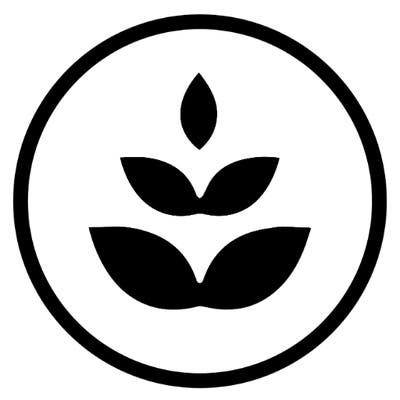 Long Beach: Luxury Cannabis Dispensary Offers Shuttle Service from Leisure World