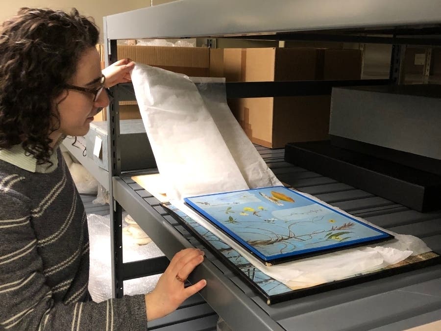 News small post card thumbnail