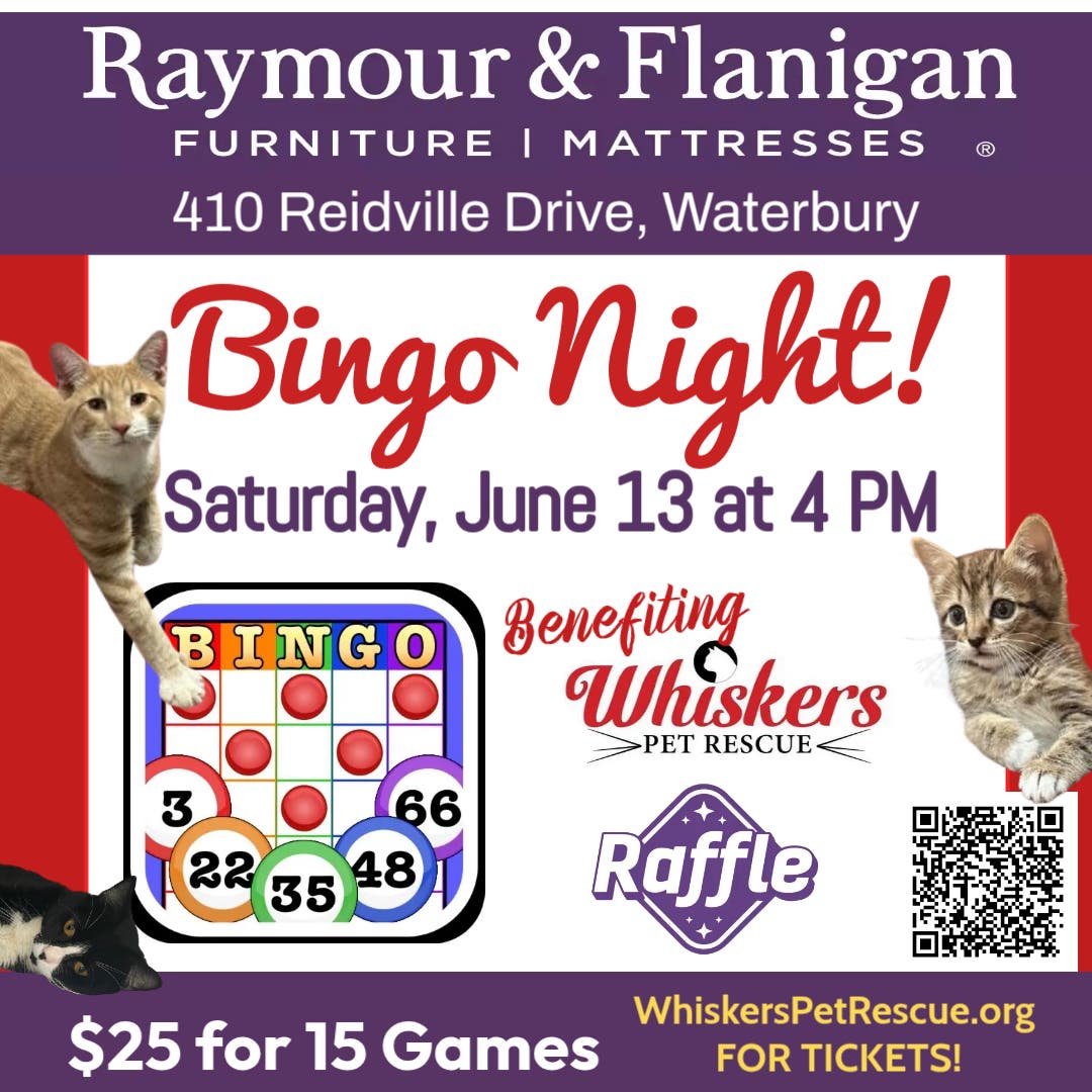 Whiskers Bingo Night!