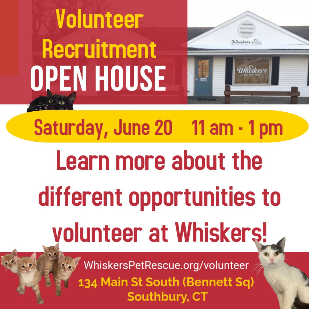WHISKERS Volunteer Recruitment Open House