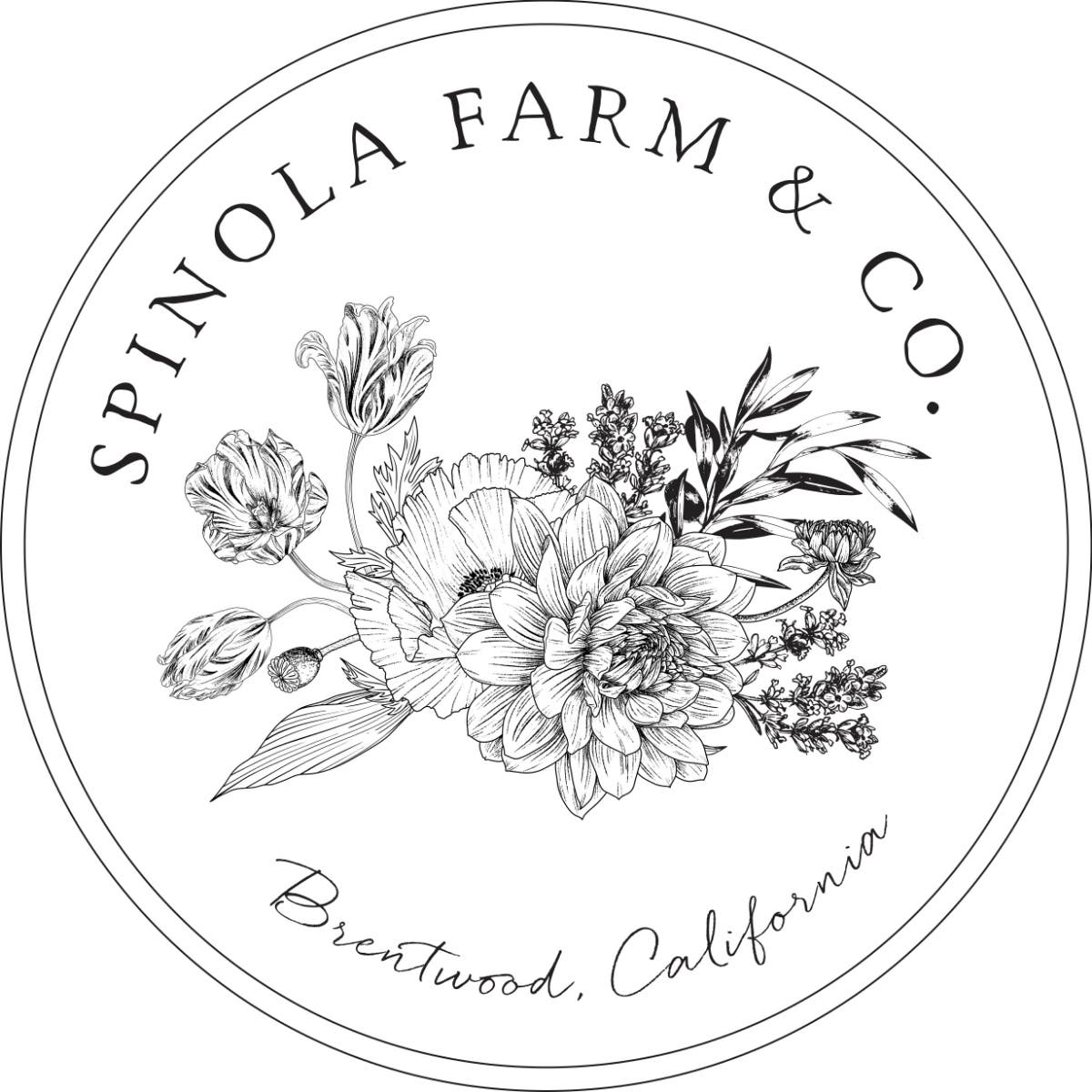 Spinola Farm & Company at Spinola Farm Station