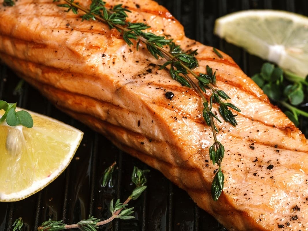 Grilled Salmon