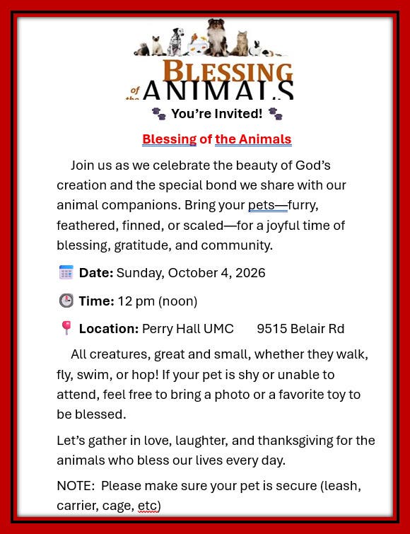 Blessing of the Animals