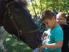 The NYC Parks Mounted Unit brought horses for visitors to pet.