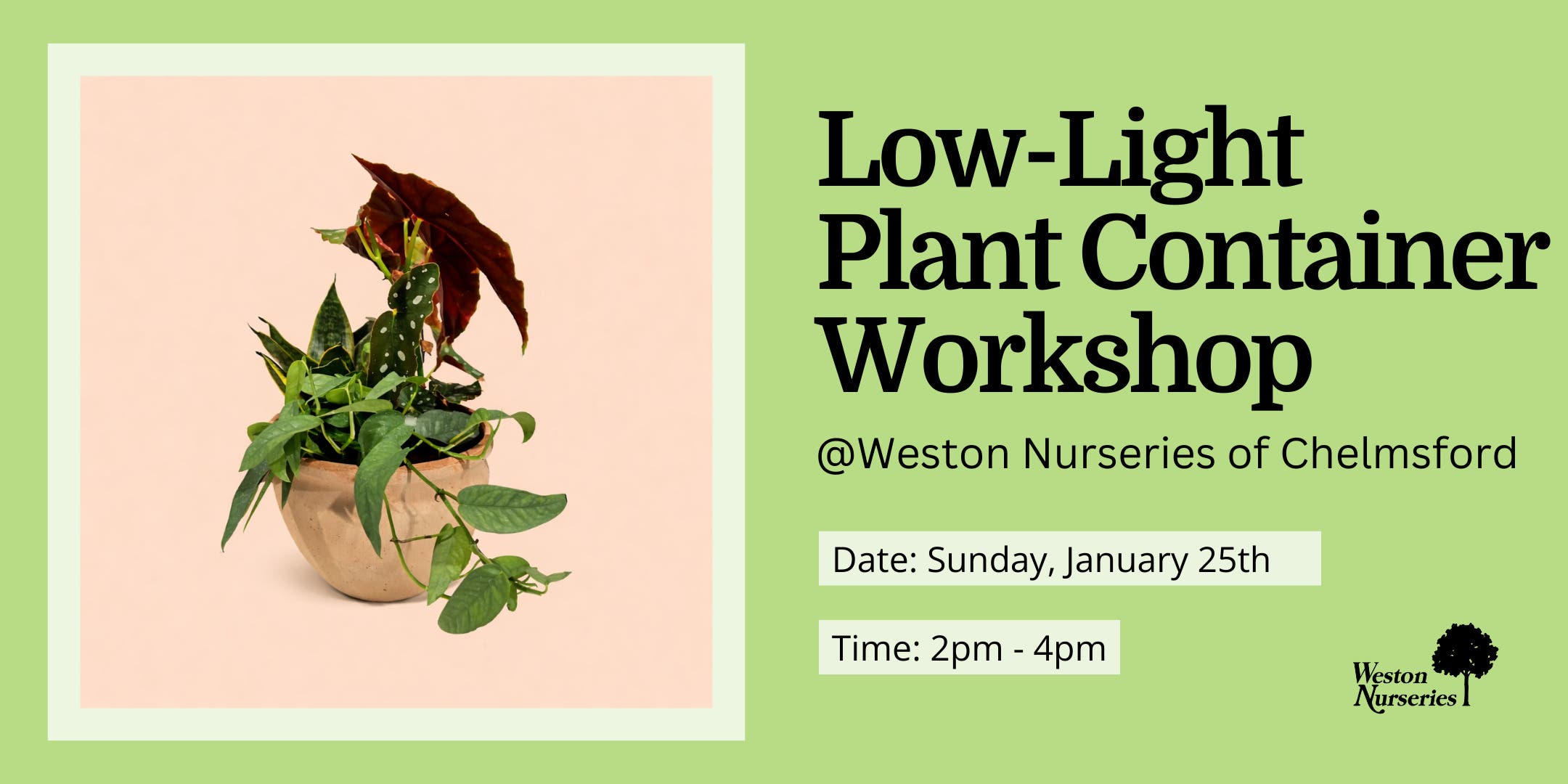 Low-Light Container Workshop