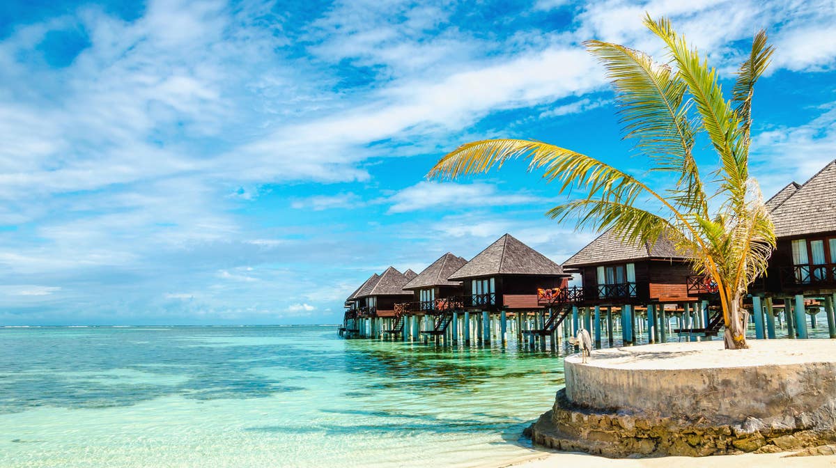 My Exotic Trouvailles & Travels