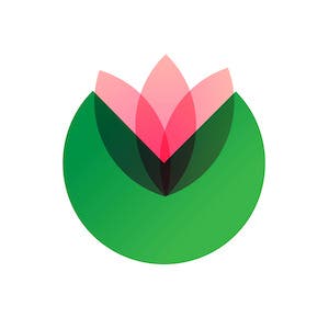 Easy Flow Yoga with Viki