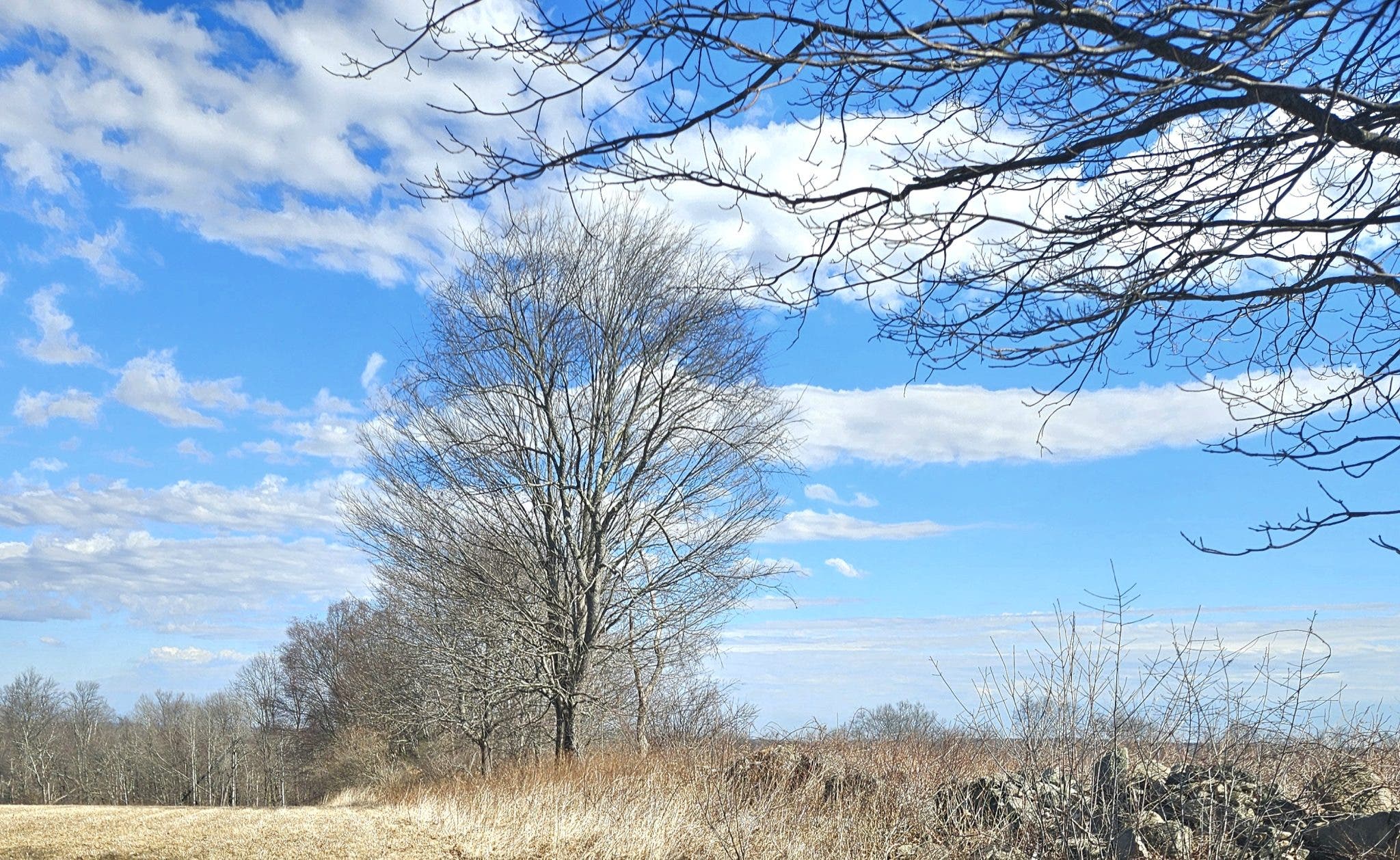 Understanding & Protecting Our Local Ecosystem - Appreciating Our Natural Environment Series 