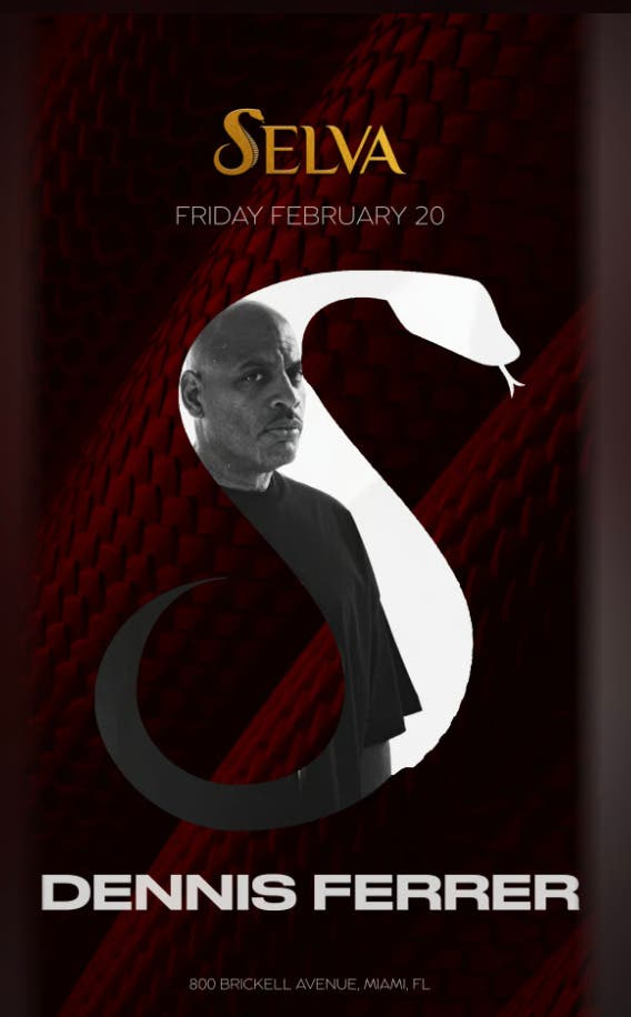 Dennis Ferrer at Selva 