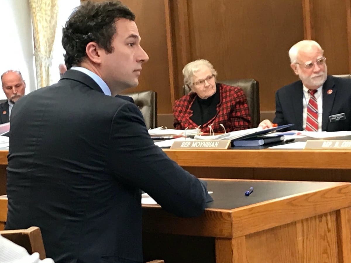 Yurij Rudensky, redistricting counsel for the Brennan Center for Justice at New York University, talks to the House Election Law Committee Tuesday about a bill that would have an independent commission redraw the political boundaries of the state.