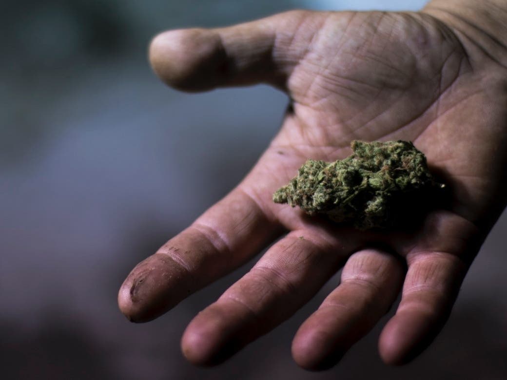 Marijuana