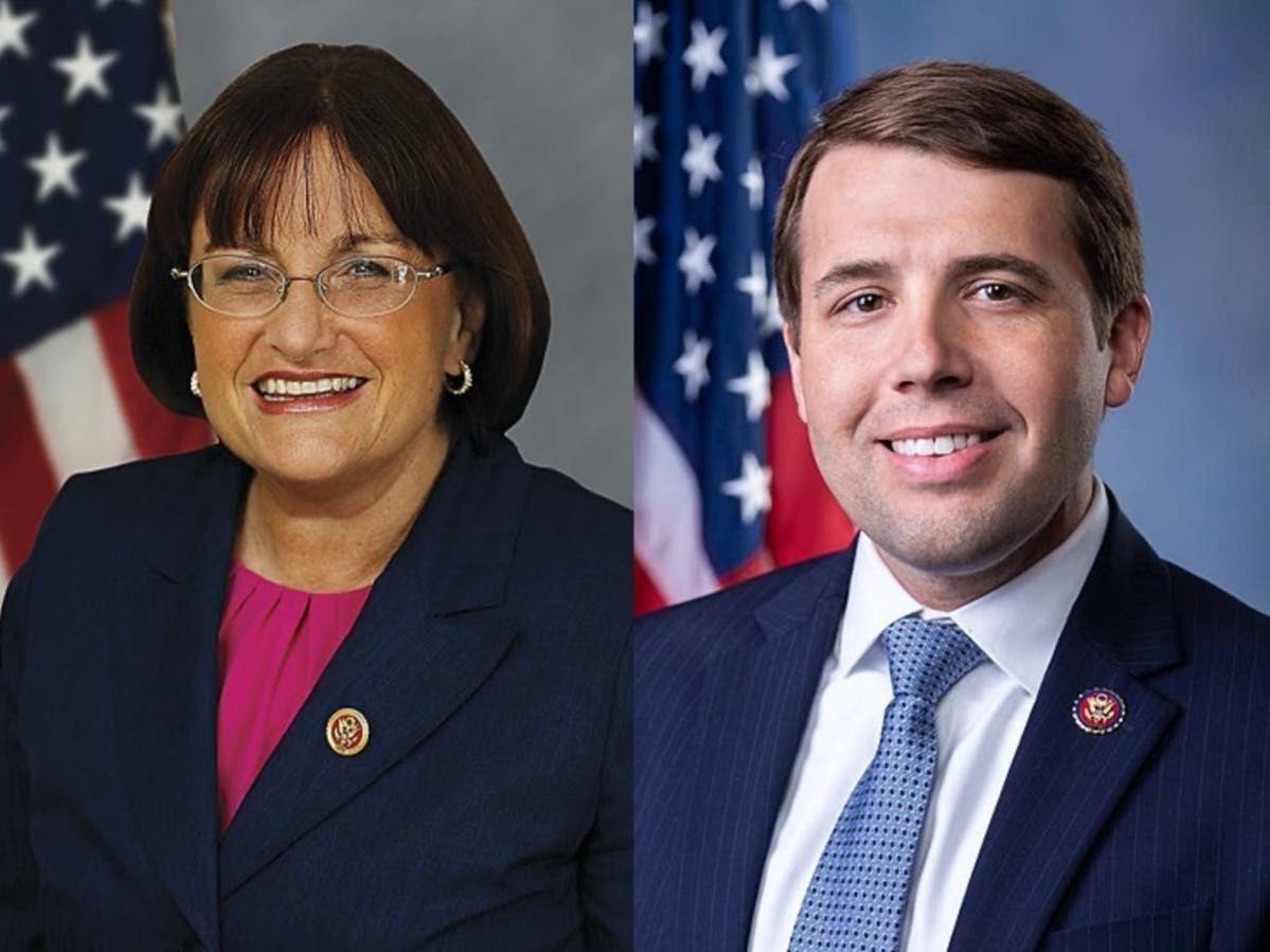 U.S. Representatives Annie Kuster and Chris Pappas, both Democrats, held a telephone town hall on COVID-19 Friday.