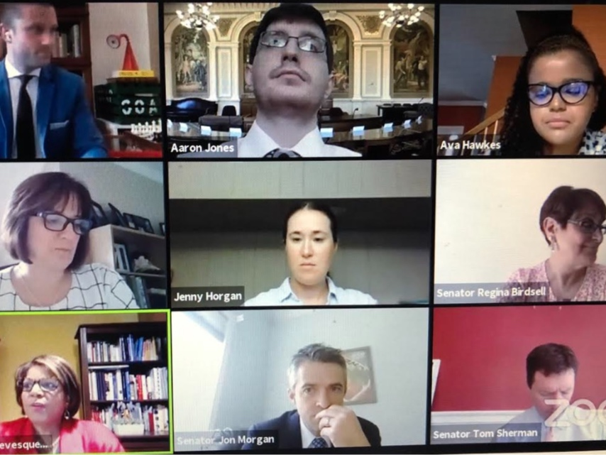 Senate election law committee met remotely on Zoom Thursday.
