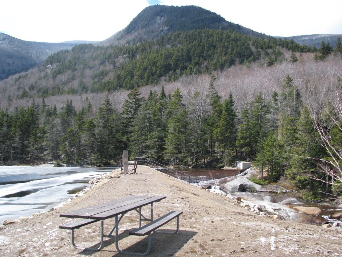Beaver Brook Cascade in the White Mountain National Forest.