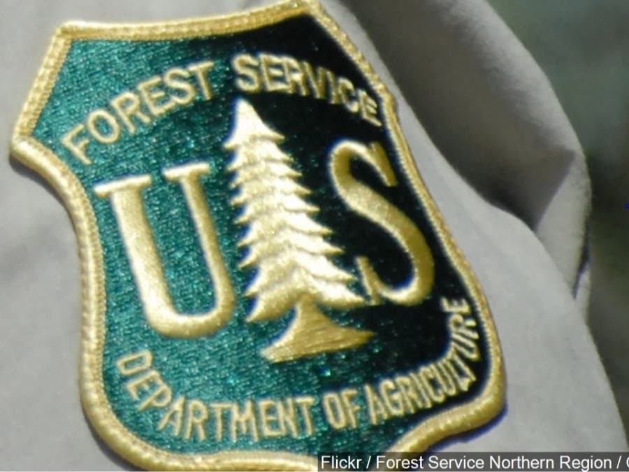 US Forest Services insignia.