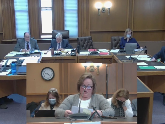 The Senate Health and Human Services Committee met Wednesday.