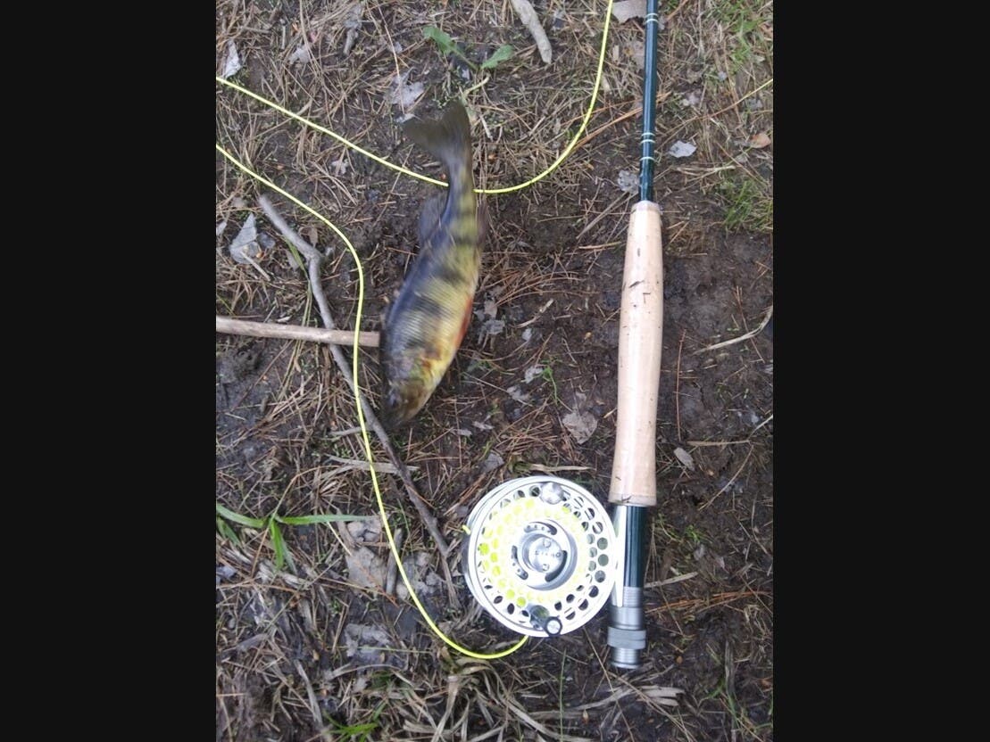 Fly fishing gear hound.