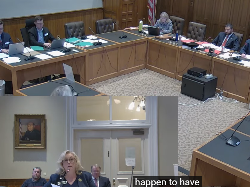 Democrat State Sen. Debra Altschiller is pictured introducing a bill before the Senate Judiciary Committee on Tuesday.