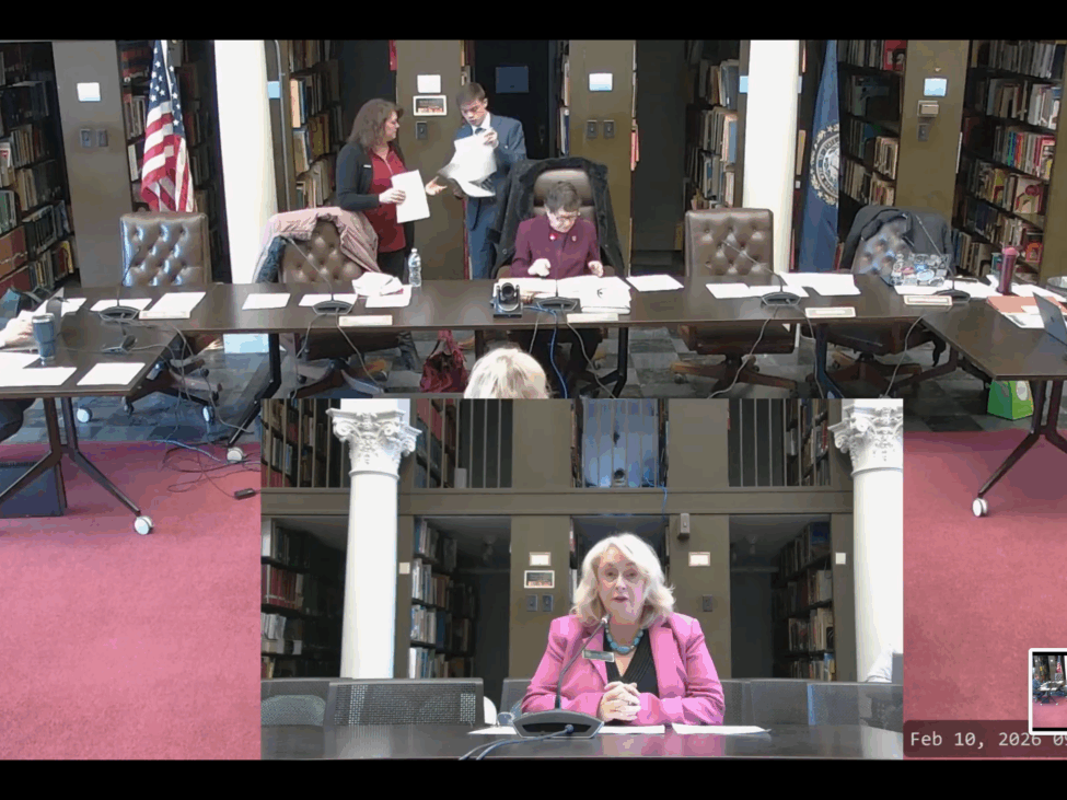 Sen. Debra Altschiller, D-Stratham, testified in support of three bills she sponsored dealing with the Education Freedom Account program before the Senate Education Committee Tuesday.