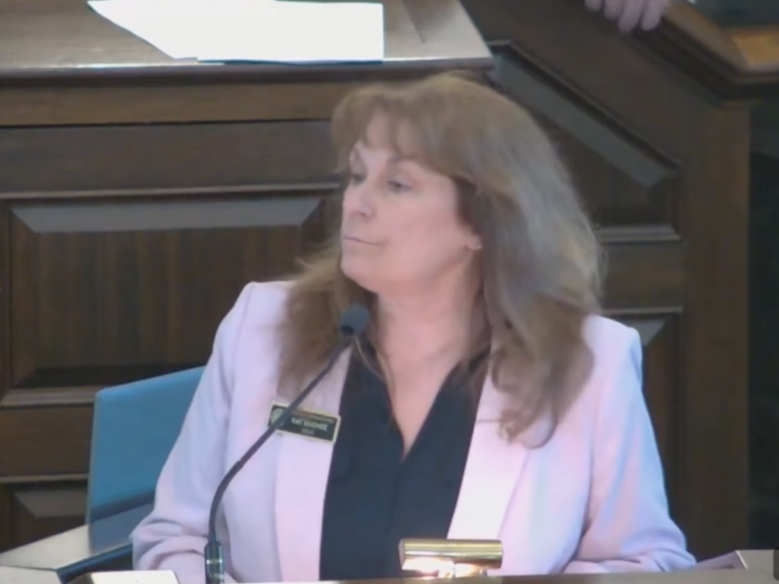 Rep. Kat McGhee, D-Hollis, is shut down by the Republican Majority Thursday when she raises the issue of Rep. Wendy Thomas, D-Merrimack, being removed from her committee in the House.