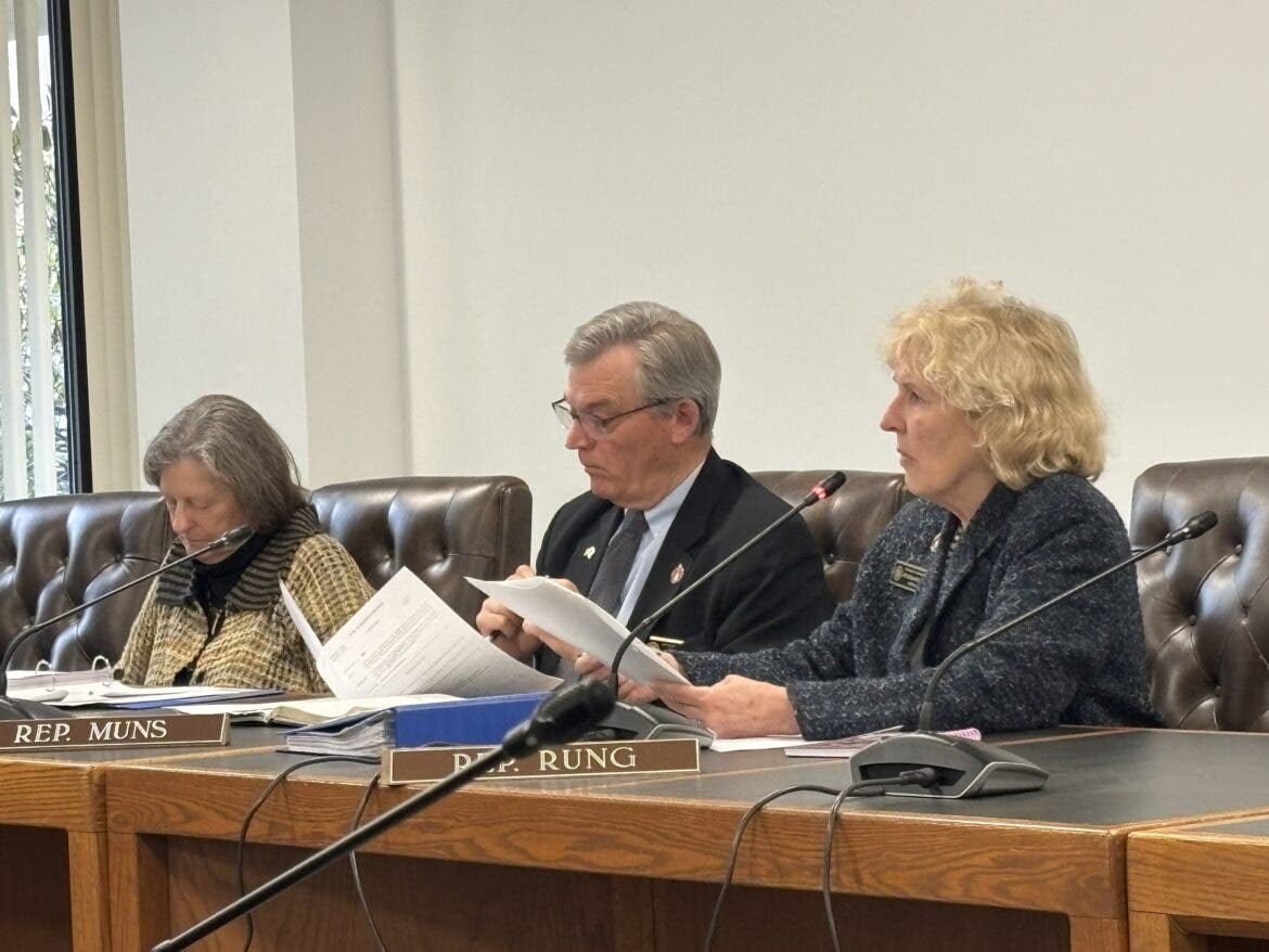 Reps Karen Ebel, D-New London, Chris Muns, D-Hampton, and Rosemarie Rung, D-Merrimack are pictured Monday at the House Division 1 Committee meeting.