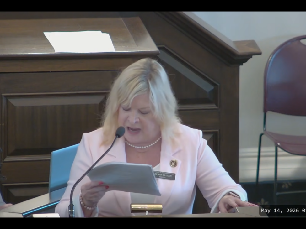Rep. Lee Ann Kluger, D-Nashua, urges her colleagues in the House Thursday to kill House Bill 434, which would allow parents to have books and other materials removed from public schools.