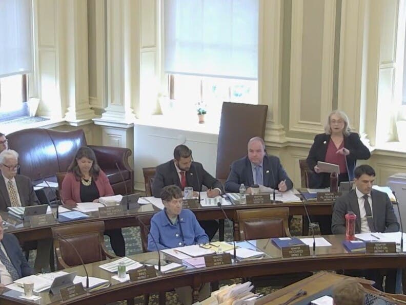 Sen. Debra Altschiller, D-Stratham, is pictured speaking Thursday at the Senate session.