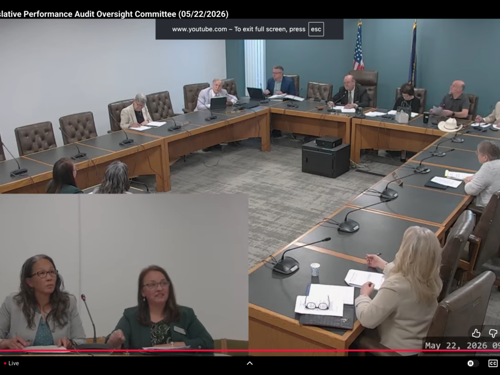 The Legislative Performance Audit and Oversight Committee Friday approved expanding the ongoing audit of the Department of Education’s oversight of the Education Freedom Account program to include student residency and educational attainment.