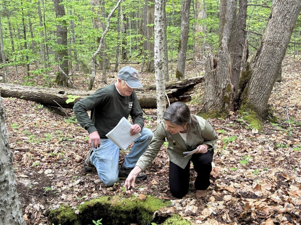 U.S. Rep. Maggie Goodlander, D-NH, meets with retired USFS soil scientist and ecologist Steve Fay handling the rich soils in a bowl formation on the Bartlett Experimental Forest.