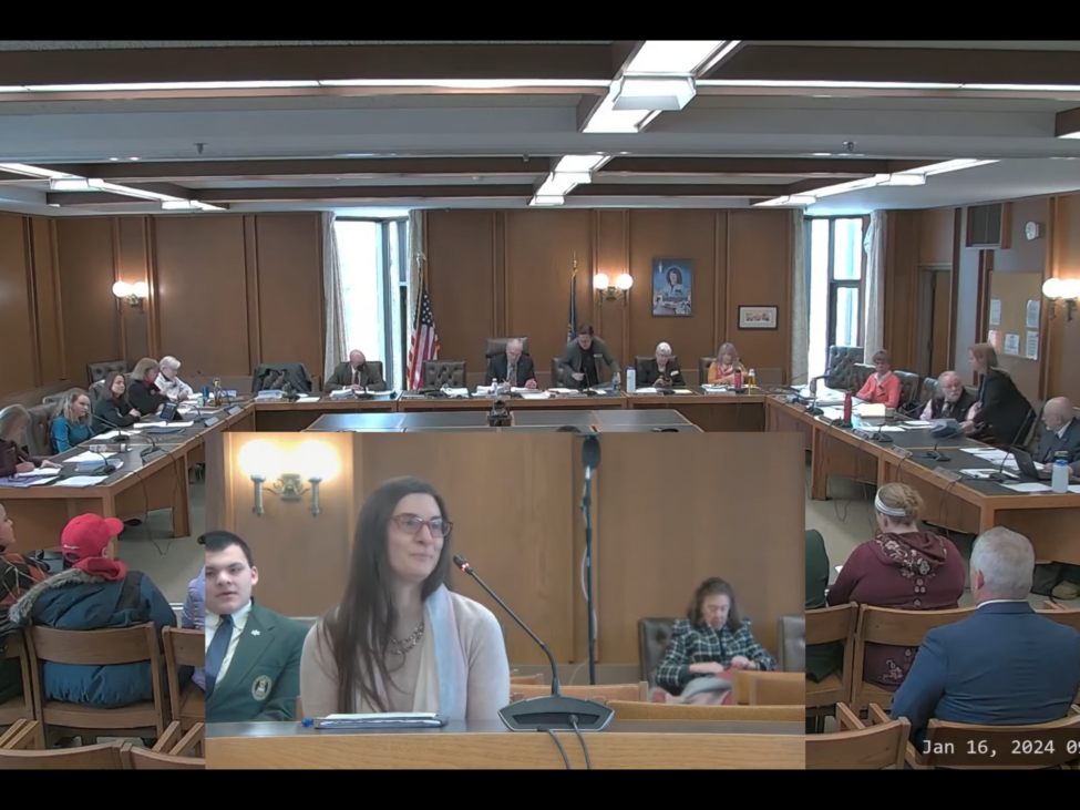 NH Children's Scholarship Fund executive director Kate Baker Demers is pictured testifying before the House Education Committee in January 2024.