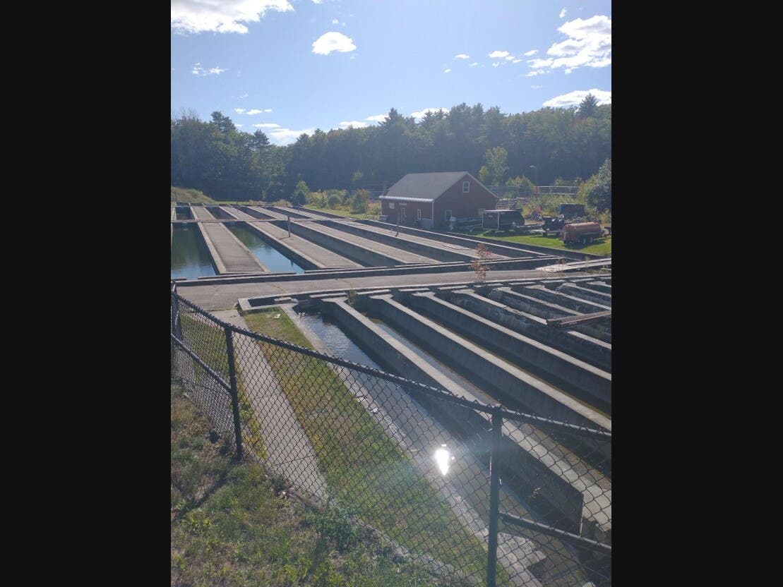 Powder Mill Hatchery, New Durham