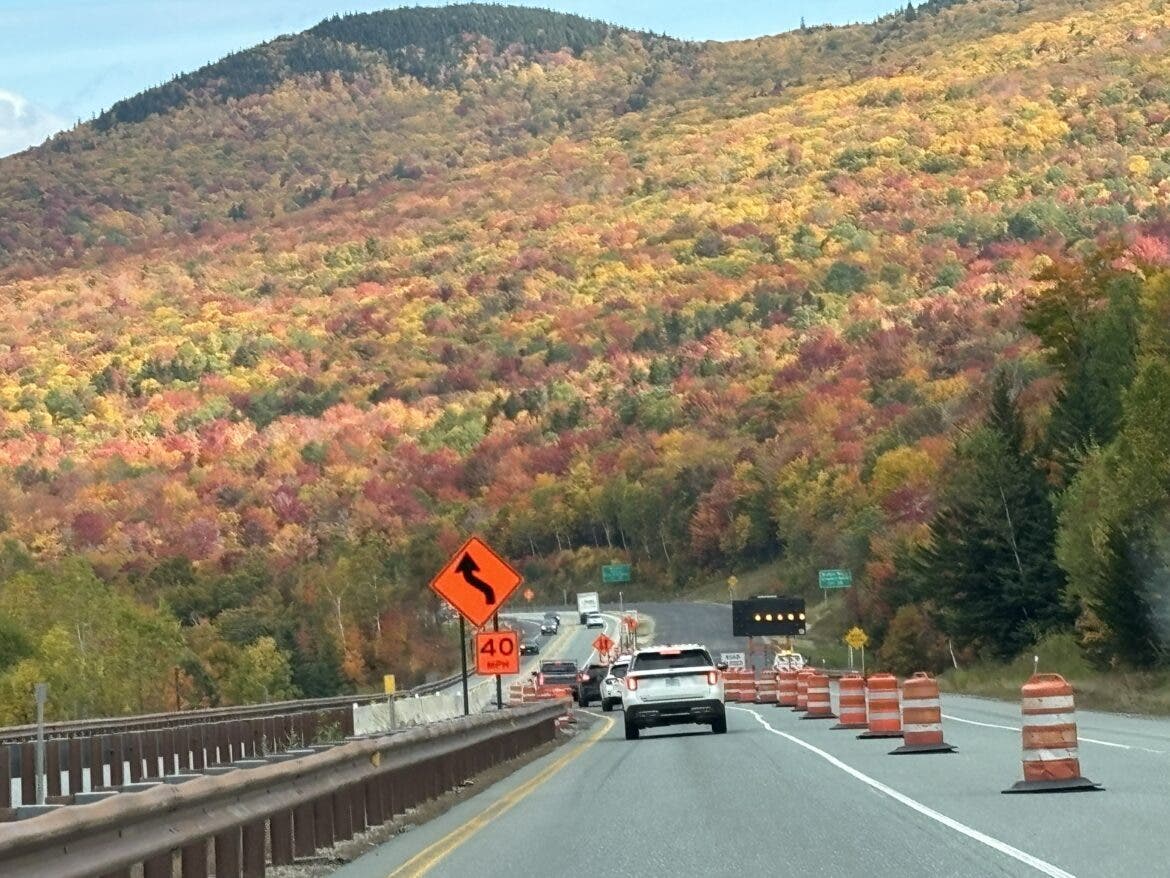 Franconia foliage about 10 days ago.