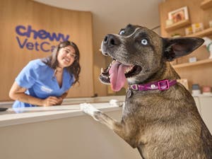 Chewy Vet Care