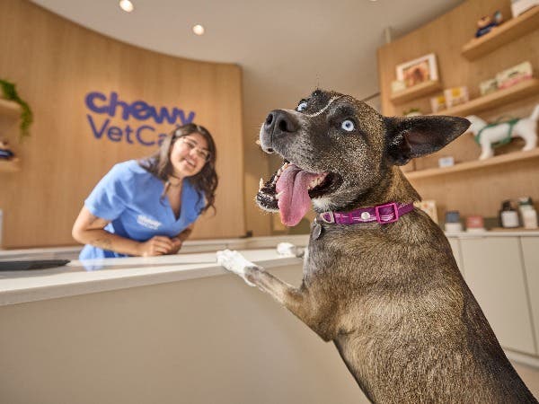 Chewy Vet Care