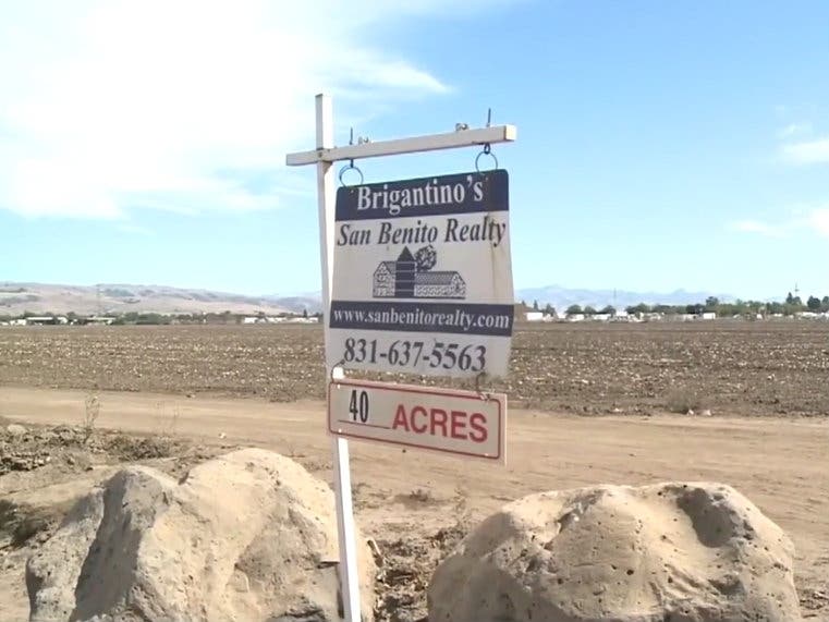 The Gilroy plot will supply the planned Google Village in downtown San Jose, which will need a small forest worth of bushes, shrubs and trees.