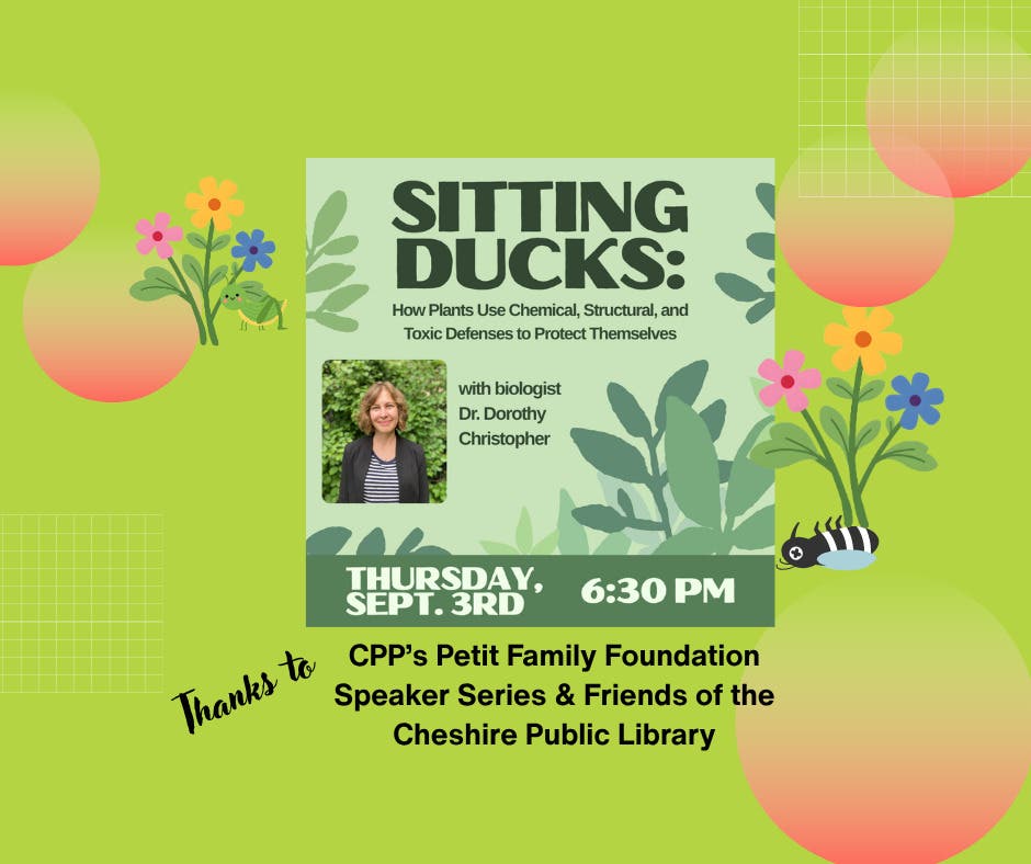 Sitting Ducks: How Plants Protect Themselves
