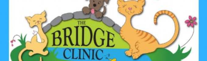 The Bridge Clinic, Inc