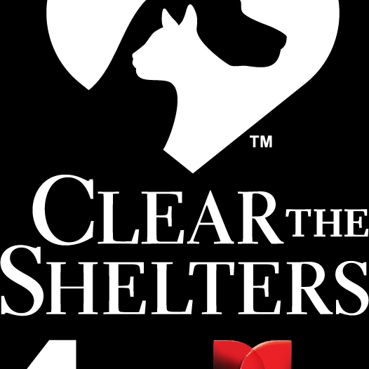 Clear the Shelters