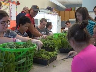 News small post card thumbnail