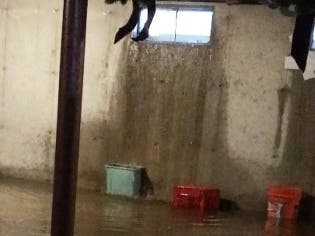 Water pouring into Kelly Trinkle’s basement.