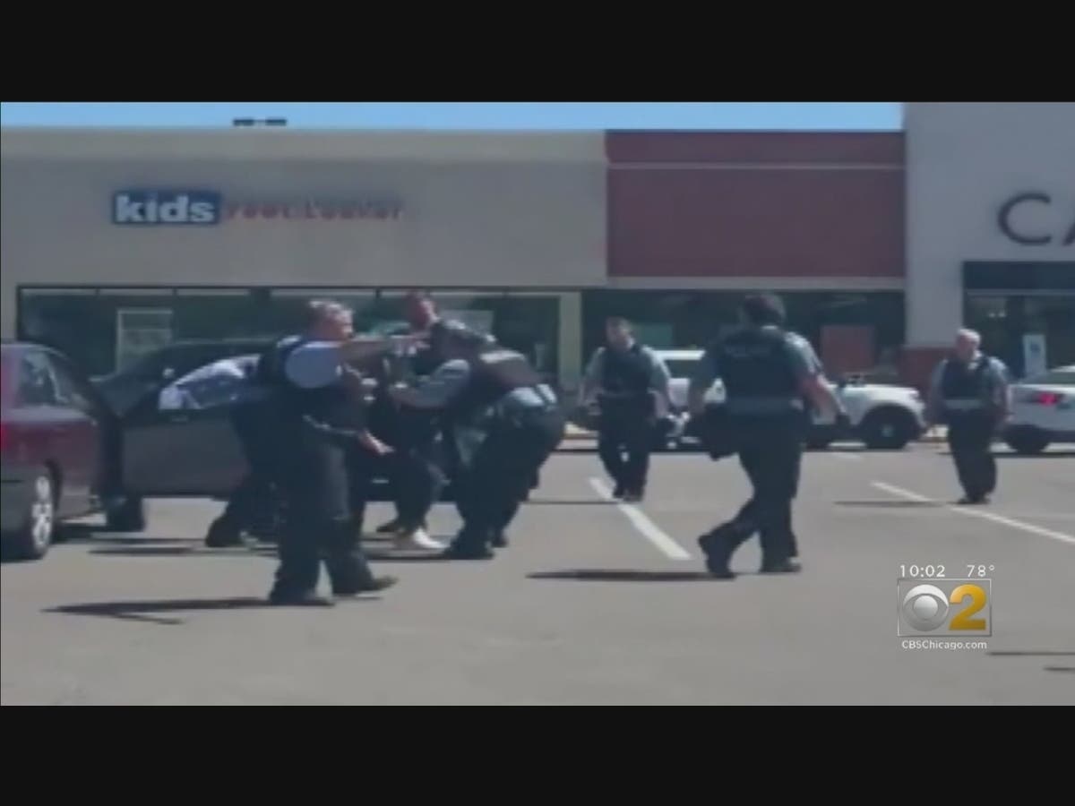 Chicago Women Dragged Out Of Car By Cpd Demand Accountability | Chicago ...