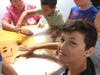 Using a lemon to create an electric current.