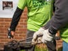 Bishop Curry and a volunteer participant hammer a heated gun part into a garden tool.