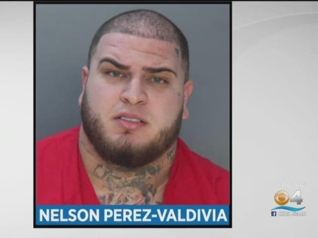 Man Accused Of Firing Shots On Palmetto Expressway To Appear In Court ...