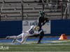 Dalers win Nassau 1 Crown!