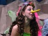 Farmingdale Playcrafters Present The Birds