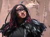 Farmingdale Playcrafters Present The Birds